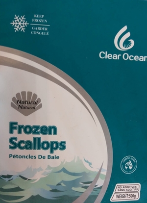 canadian-wild-scallops